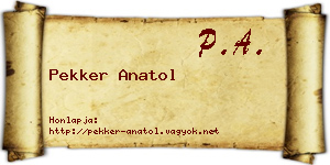 Pekker Anatol névjegykártya